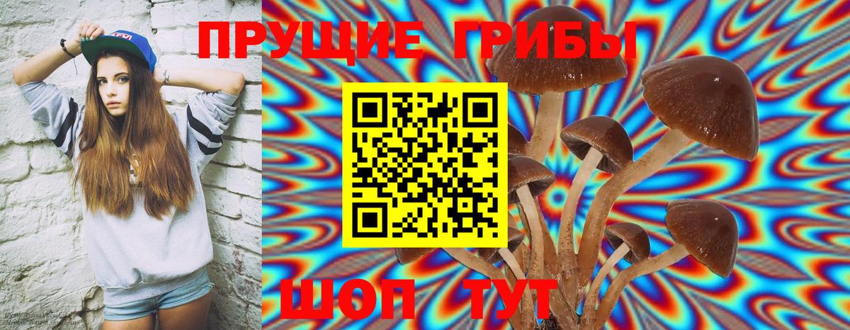 Галлюциногенные грибы Psilocybe Луховицы